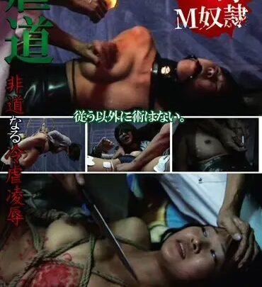Screenshot 1 from PHD-022 يودو: تعذيب قاسي بلا انضباط، صفعات وضرب بالسوط، هوس 9 مانيك SM (زئبق)