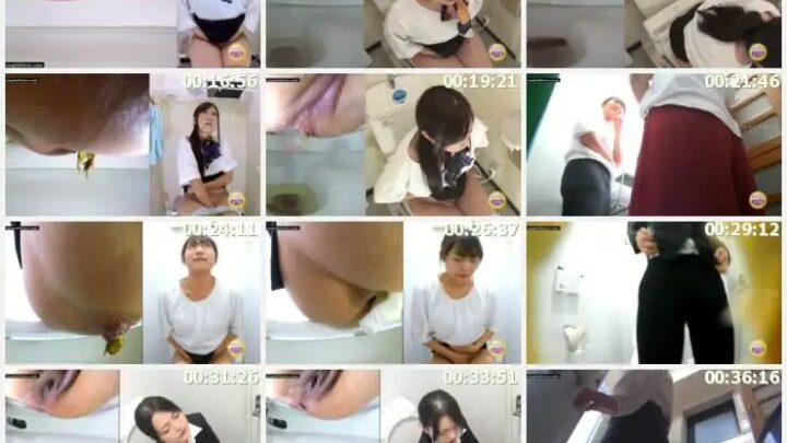 Screenshot 3 from SL-266 Inside Company Bathroom: New Employee’s Secret Diary 5 – Uninhibited Defecation in the Toilet Stall, Jaido Voyeur