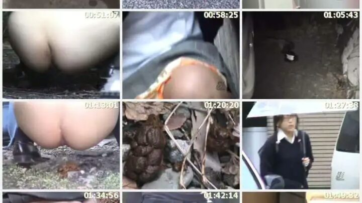 Screenshot 2 from SMHD-05 Overexcited Hidden Camera: High School Girls Publicly Defecating and Urinating 7 – Voyeur, Other Voyeur, Jaid