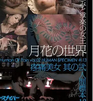 Screenshot 1 from SNI-11 Yamiwo: 新居民命中測試第13號，痛苦的美麗。S & M 狙擊手
