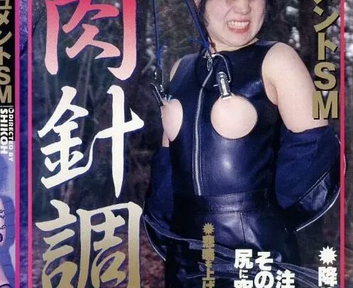 Screenshot 1 aus SS-0314 Dokyumento SM: Anpassung des weiblichen Fleisches - Shigema Planung