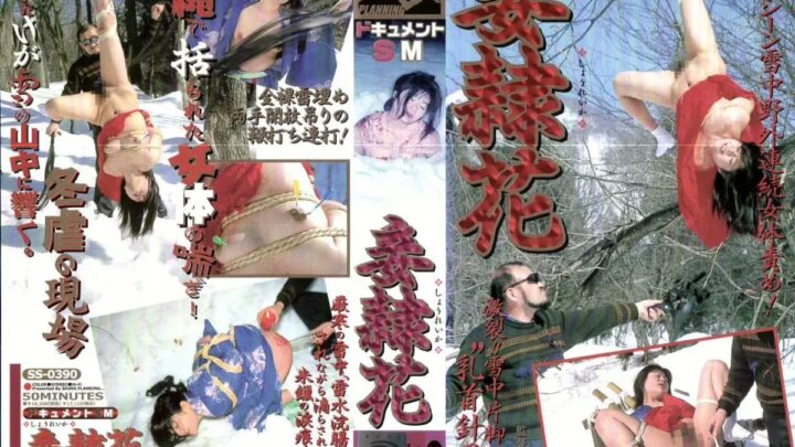 SS-0390 Tachibana Rumi Documentary SM Fumiko Shido: Shiguma Planning