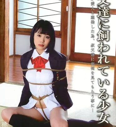 Screenshot 1 aus STD-027 Momohara Akane: Ein junges Mädchen, das von ihren Stiefvätern belästigt wird
