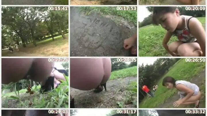 Screenshot 2 from VQI-02 피크닉 상자 야외 스캣