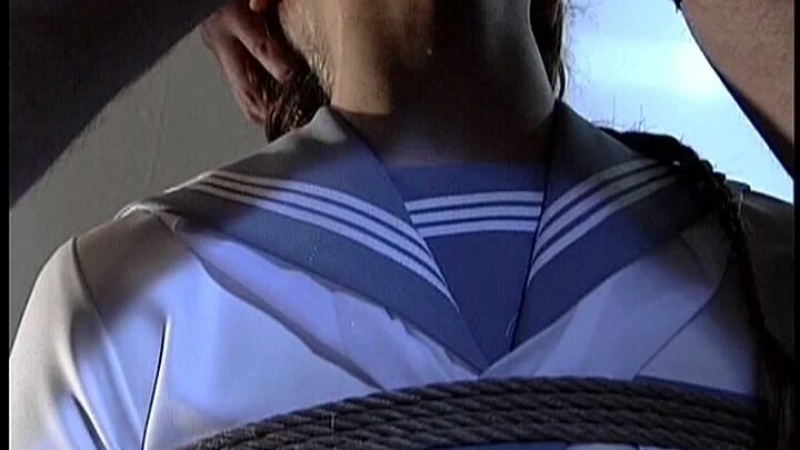 Screenshot 10 from Visual Orgasm 38 : Dreamryu ZOU Reina SM 125 Minutes