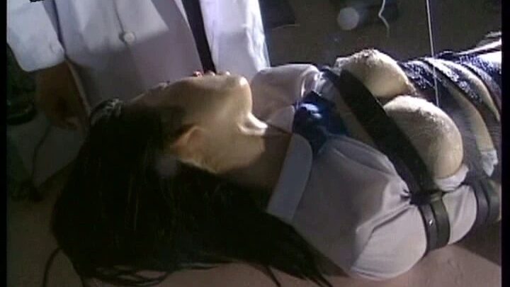 Screenshot 19 from Visual Orgasm 38 : Dreamryu ZOU Reina SM 125 Minutes