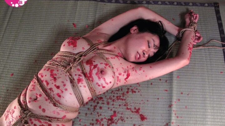 Screenshot 10 from ADVO-095 Kuro Taniryouko, Harayama Akari: Mature Women’s Honey Trap – Art Video ASM/Fantasy Clan