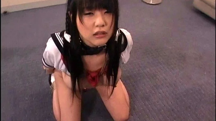 Screenshot 14 from DDT-310 TOHJIRO的私人辅导：窒息宠物椿绑缚