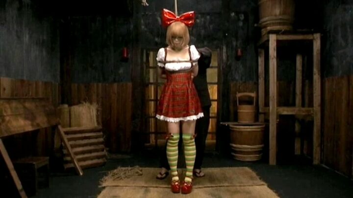 Screenshot 20 from GTJ-010 Alice Formation de Slip Loop à Temps Partiel Alice XuZhou Dogma