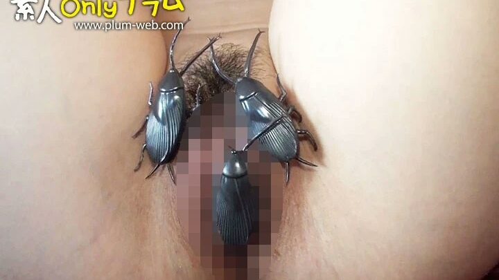 KM-004 宗筆鬼狂い真・子七中 004 彩 23歳 プロジェクトプラム のスクリーンショット 17