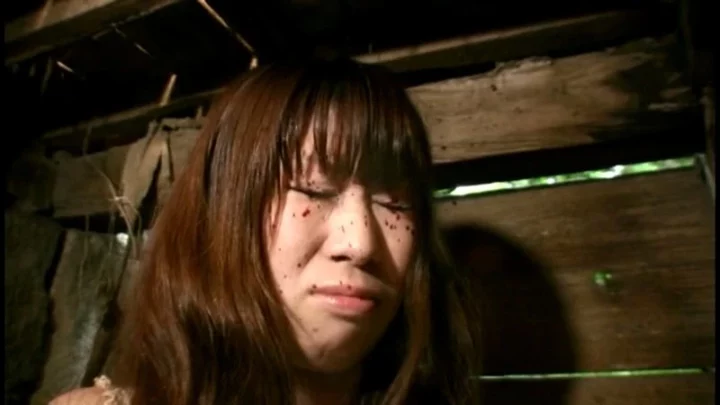 Screenshot 17 aus VRXS-011 Shinkai Yuu: Direktansicht Damen-Toilette 2 Shinkai Defäkation