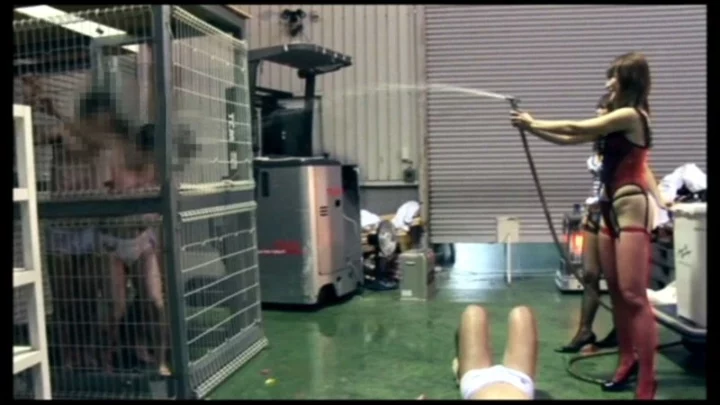 Screenshot 2 aus ANTA-05 Sakurada Sakura Antares' Frau 05: Öffentliche Demütigung und Training durch zwei sadistische Königinnen - Fleisch-Bestrafungs-Edition