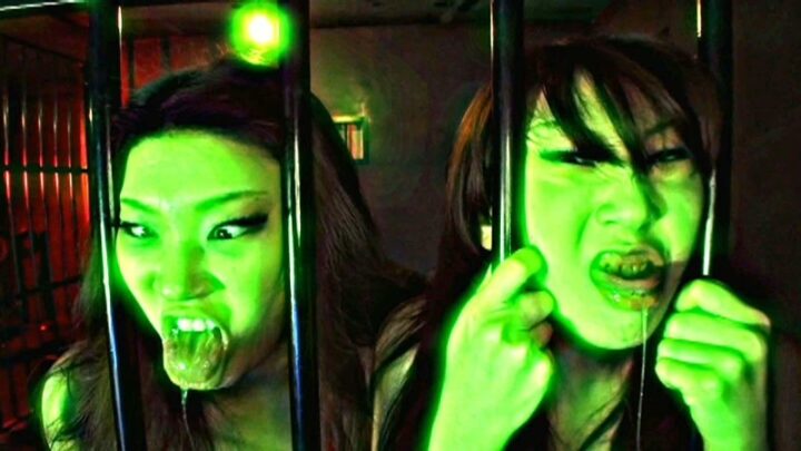 Screenshot 2 from BIJ-027 Kirihara Azusa, Hosokawa Mari Kicho Ichin Porno Hunter 3: Angry Escape Edition 155 Minutes Mature