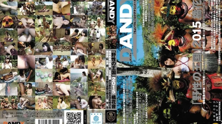 AVOP-108 Kingdom of the Wild 2015: Tachibana Kanade – Teaching Primitive Tribes the Culture of Japanese Eroticism in the Last Sanctuary on Earth, Cowgirl Voyeur, Black Men, Blowjob, Skirt (Voyeur) AV OPEN 2015