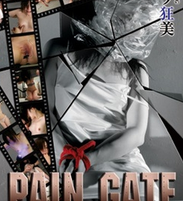 DDSC-003 PAIN GATE 観光花火 SM スクランブル のスクリーンショット 1