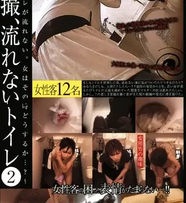 Screenshot 1 aus DSDA-44: Gestohlen, Unaufhaltsame Toilette 2: Scat und andere Voyeur 110 Minuten