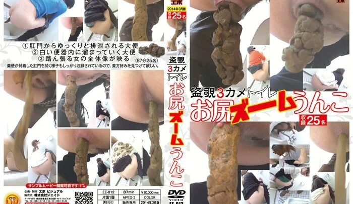 EE-012 三鏡頭廁所監控：秘密錄製女孩的排便和衛生紙使用（窺視癖）
