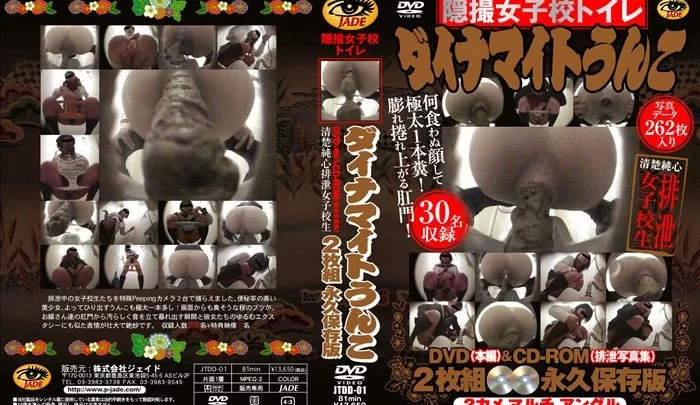 JTDD-01 隠しカメラ ◎ トイレ大内密道 1: トイレの覗き見を捨てる