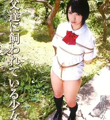 Screenshot 1 from STD-025 : Jeune Fille Opprimée par Ses Pères Pervers 3 - Fessée Heureuse 136 min