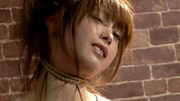 Screenshot 20 from NTD-053: Extreme Discipline 9 – Tied Acme Torture: Shidare Juri