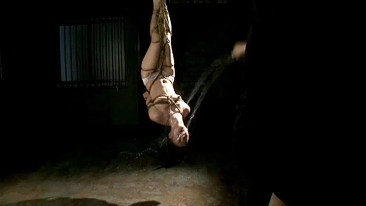 Screenshot 16 from NTD-053: Extreme Discipline 9 – Tied Acme Torture: Shidare Juri