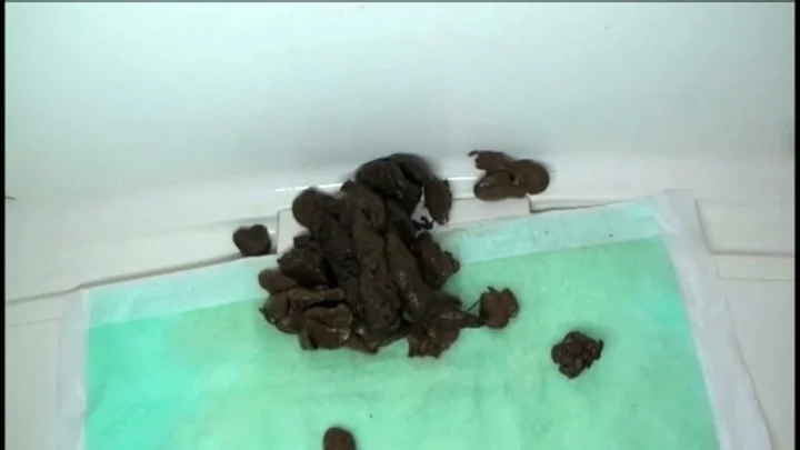 Screenshot 17 from ODV-290 Female College Student’s Massive Defecation and Daily Intense Anal Scat Play Scatrol 120 min Amateur Scat
