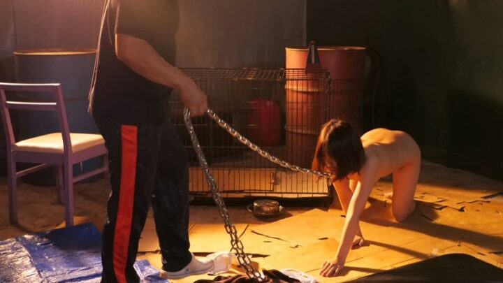 Screenshot 4 from SHKD-771 川上七海：性诱惑第103号 - 女大学生 自动より 120分钟攻击者尊重