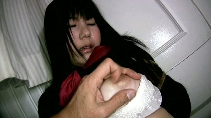 SID-045 守屋純 10 アナルガールドールペット快楽飼育虐待 のスクリーンショット 21