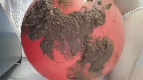 7 Days Huge Shit Ball Poop (ScatShop.com)