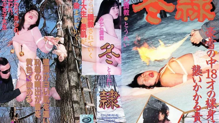 SS-0186 Midara Chokyo: Shishou Planning Shishou Video
