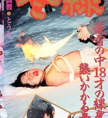 Screenshot 1 from SS-0186 Midara Chokyo: Shishou Planning Shishou Video
