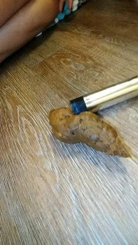 肛门与排便（来自我们高级用户的特别色情请求）$29.99 由 PocahontasDoll 提供