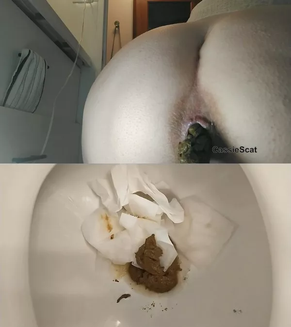 CassieScat 변비로 인한 방귀와 변기에서의 배변