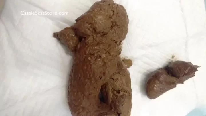 Screenshot 1 from Demonstrating Real Turd Licking During Eating Instructions