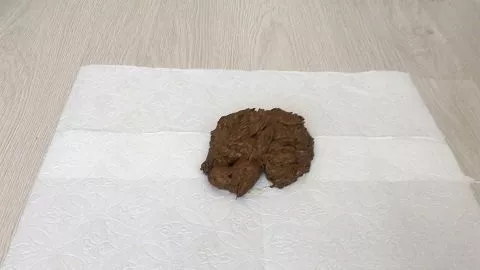Dirty period play [Premium User Request Exclusively on scat.takefile.link only from -10.08.2021] by Markovna