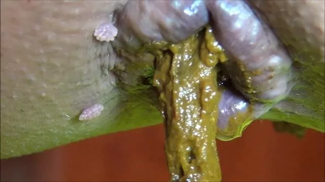 DirtyScatGirl 把屎弄在我的头发和全身上