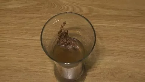 Screenshot 1 aus Mädchen scheißen und in das Glas pinkeln