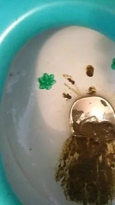 Screenshot 4 from Huge shit in my friends toilet (ScatShop.com) 25.07.2021 Ella Gilbert