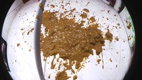 Screenshot 2 from INSANE Diarrhea All Over (30.10.2020)