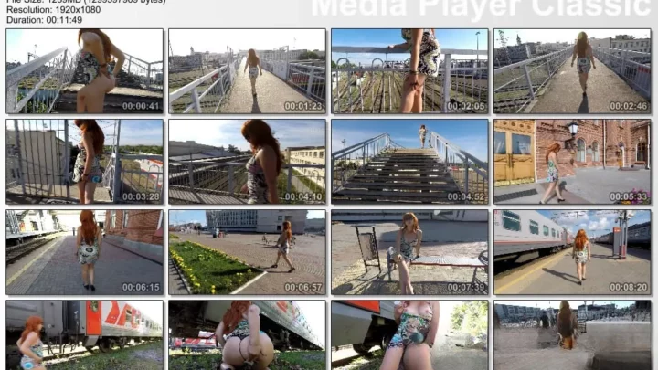 Screenshot 1 from janet Dropping Turds At The Train Station