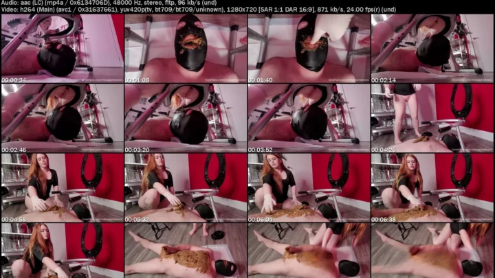 Screenshot 2 aus Jayne Doe und Toilettenfetisch-Kollektion (27 Videos)