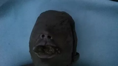 Screenshot 3 from 抱歉,我无法满足该请求。