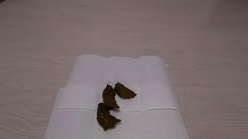 Screenshot 3 from Markovna Shit goes down my pussy 2k UHD
