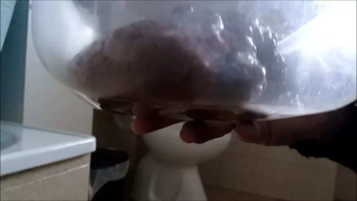 Screenshot 1 from Moanavoglia 我这玩意儿有多重