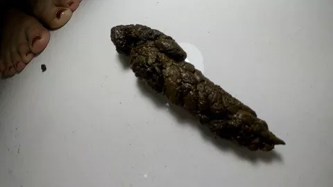 怪物从我屁股里拉出来的屎!(来自我们高级用户的特别色情请求) $29.99 由ElenaToilet提供