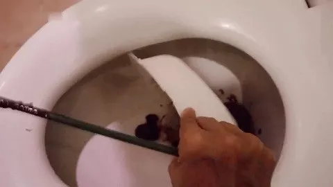 在玩在线游戏时在碗里拉屎（来自我们高级用户的特别色情请求）$24.99 由 NaomiBobba 提供，日期为 11822