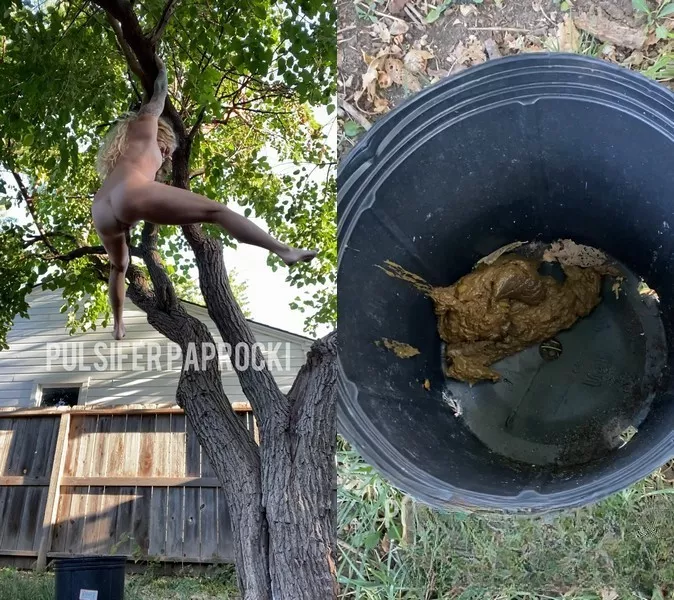 PulsiferPaprocki: Hanging Tree Poop