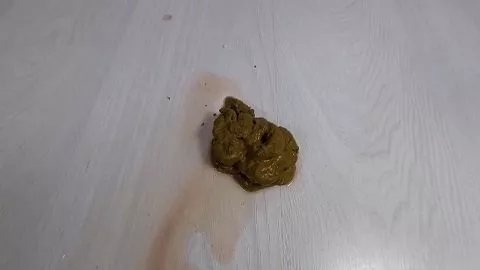 Shit in My Period (13.02.2021) 23,99$ (Premium-Anfrage) über Annalise