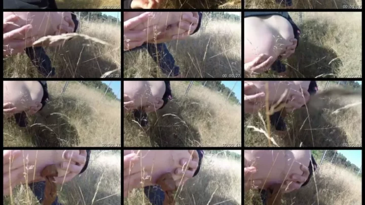 Screenshot 1 from Shitting by the roadside