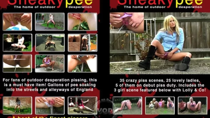 Sneaky Pee 第十七卷 2007